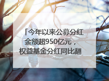 今年以来公募分红金额超950亿元，权益基金分红同比翻倍｜招财猫
